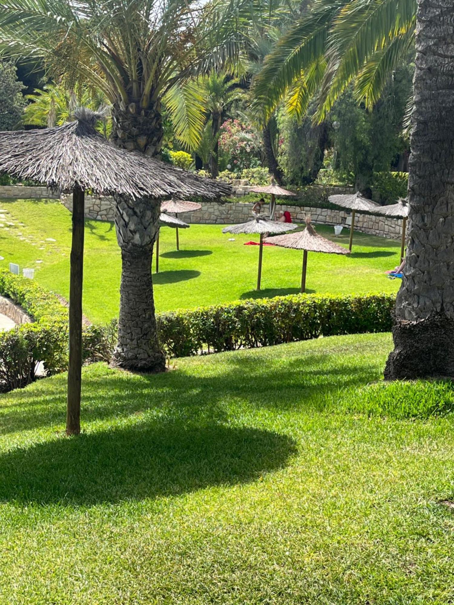 Parque La Chicharra Near Alicante And Beach Exterior foto